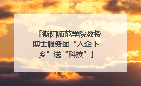 衡阳师范学院教授博士服务团“入企下乡”送“科技”