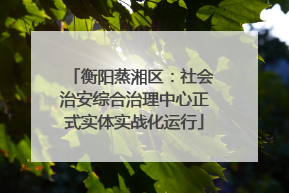 衡阳蒸湘区：社会治安综合治理中心正式实体实战化运行