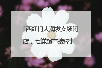 西红门大润发卖场闭店，七鲜超市接棒