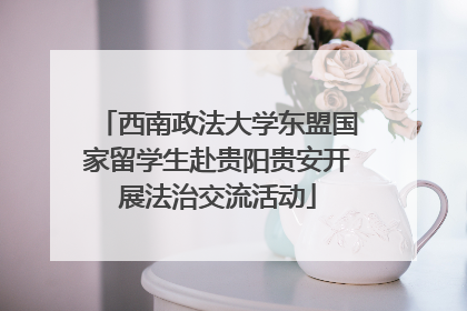 西南政法大学东盟国家留学生赴贵阳贵安开展法治交流活动