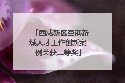 西咸新区空港新城人才工作创新案例荣获二等奖