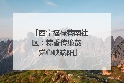 西宁福禄巷南社区：粽香传廉韵 党心映端阳