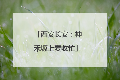 西安长安：神禾塬上麦收忙