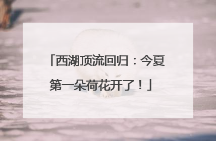 西湖顶流回归：今夏第一朵荷花开了！
