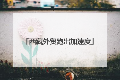 西藏外贸跑出加速度