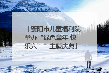 襄阳市儿童福利院举办“绿色童年 快乐六一”主题庆典