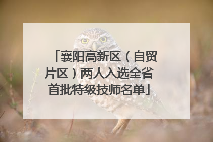 襄阳高新区（自贸片区）两人入选全省首批特级技师名单