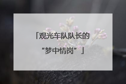观光车队队长的“梦中情岗”