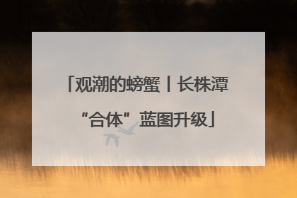 观潮的螃蟹丨长株潭“合体”蓝图升级