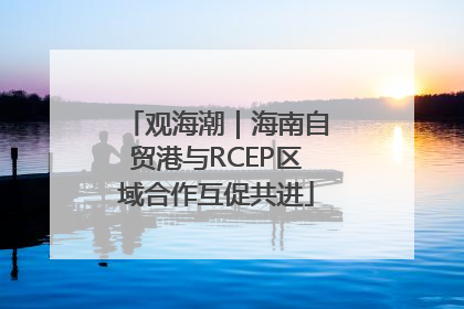 观海潮｜海南自贸港与RCEP区域合作互促共进