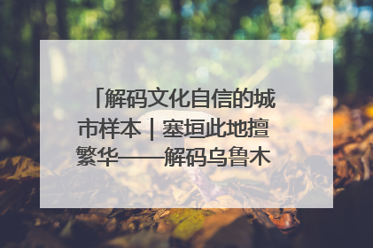 解码文化自信的城市样本｜塞垣此地擅繁华——解码乌鲁木齐的文化自信样本