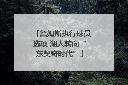 詹姆斯执行球员选项 湖人转向“东契奇时代”
