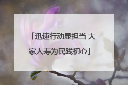 迅速行动显担当 大家人寿为民践初心
