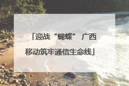 迎战“蝴蝶” 广西移动筑牢通信生命线