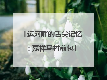 运河畔的舌尖记忆：嘉祥马村煎包