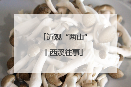 近观“两山”丨西溪往事