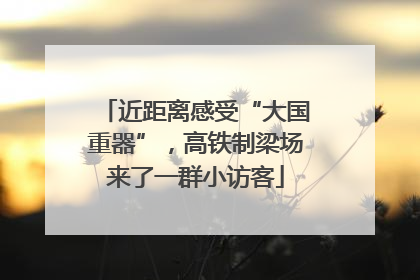 近距离感受“大国重器”，高铁制梁场来了一群小访客