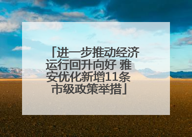 进一步推动经济运行回升向好 雅安优化新增11条市级政策举措