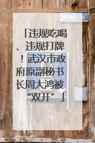 违规吃喝、违规打牌！武汉市政府原副秘书长周大鸿被“双开”