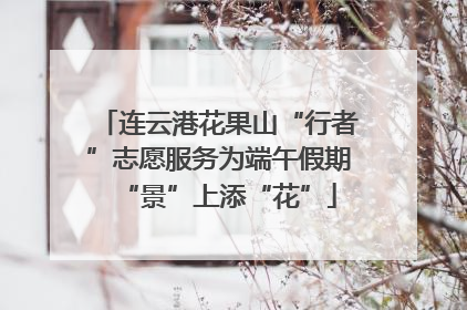 连云港花果山“行者”志愿服务为端午假期“景”上添“花”