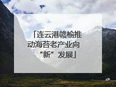 连云港赣榆推动海苔老产业向“新”发展