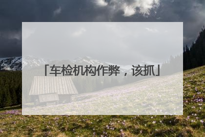车检机构作弊，该抓