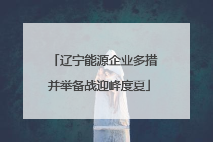 辽宁能源企业多措并举备战迎峰度夏