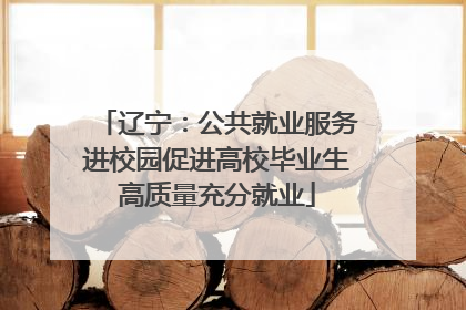 辽宁：公共就业服务进校园促进高校毕业生高质量充分就业