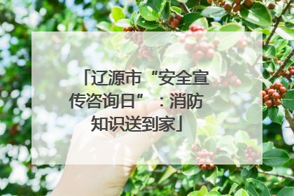 辽源市“安全宣传咨询日”：消防知识送到家