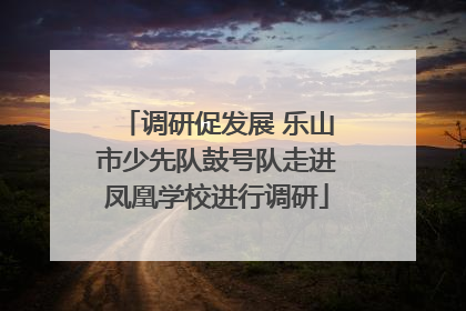 调研促发展 乐山市少先队鼓号队走进凤凰学校进行调研