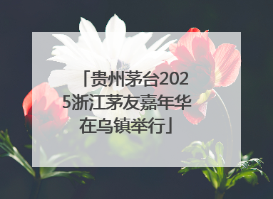 贵州茅台2025浙江茅友嘉年华在乌镇举行
