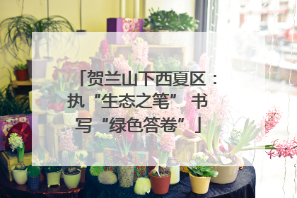 贺兰山下西夏区：执“生态之笔” 书写“绿色答卷”