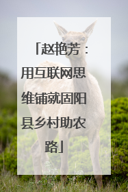 赵艳芳：用互联网思维铺就固阳县乡村助农路