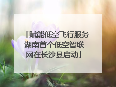 赋能低空飞行服务 湖南首个低空智联网在长沙县启动