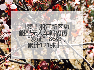 赞！湘江新区功能型无人车编码再“发证”86张，累计121张