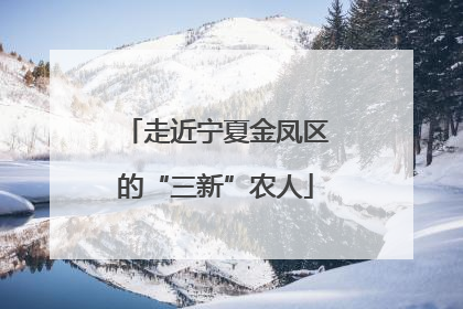 走近宁夏金凤区的“三新”农人