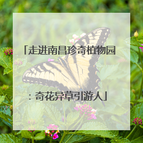 走进南昌珍奇植物园：奇花异草引游人