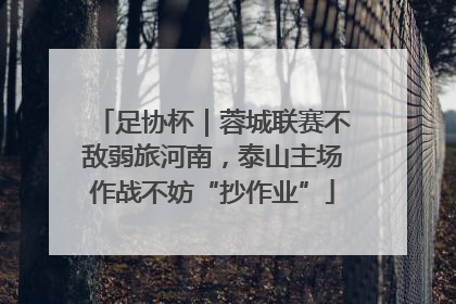 足协杯｜蓉城联赛不敌弱旅河南，泰山主场作战不妨“抄作业”