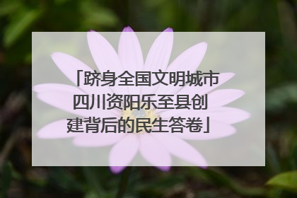 跻身全国文明城市 四川资阳乐至县创建背后的民生答卷