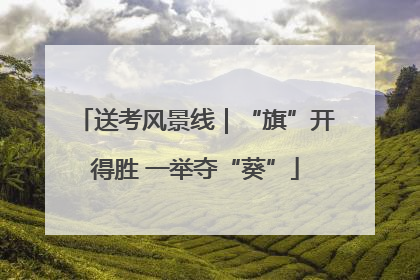 送考风景线｜“旗”开得胜 一举夺“葵”