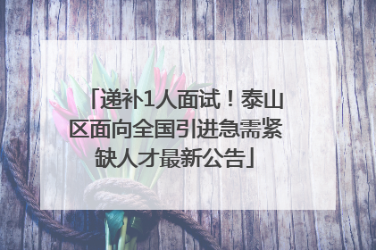 递补1人面试！泰山区面向全国引进急需紧缺人才最新公告