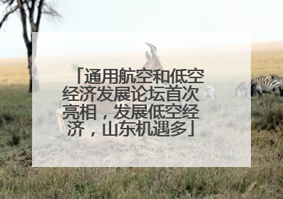 通用航空和低空经济发展论坛首次亮相，发展低空经济，山东机遇多