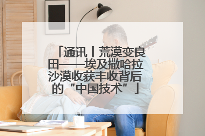 通讯丨荒漠变良田——埃及撒哈拉沙漠收获丰收背后的“中国技术”