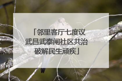 邻里客厅七度议 武昌武泰闸社区共治破解民生顽疾