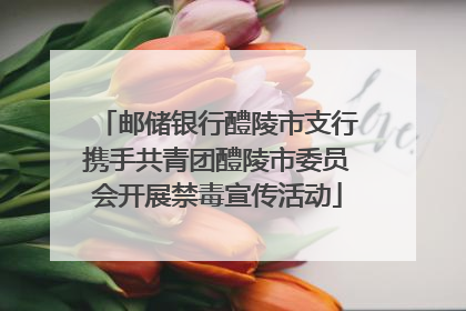 邮储银行醴陵市支行携手共青团醴陵市委员会开展禁毒宣传活动