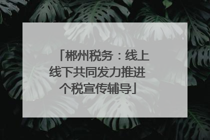 郴州税务：线上线下共同发力推进个税宣传辅导