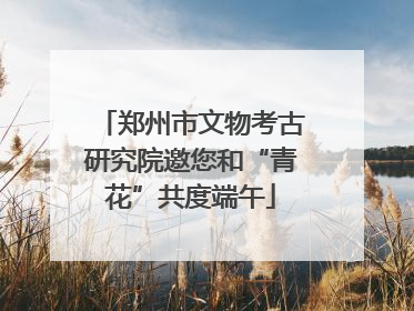 郑州市文物考古研究院邀您和“青花”共度端午