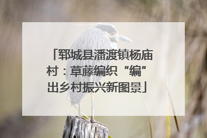 郓城县潘渡镇杨庙村：草藤编织“编”出乡村振兴新图景