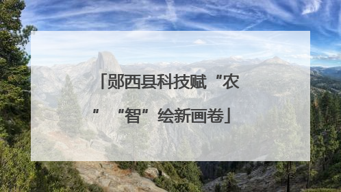 郧西县科技赋“农”“智”绘新画卷