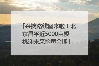 采摘路线图来啦！北京昌平近5000亩樱桃迎来采摘黄金期